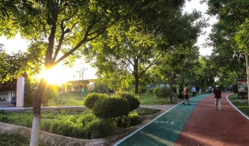 兰州什川古梨园全景(黄河围绕成太极图)