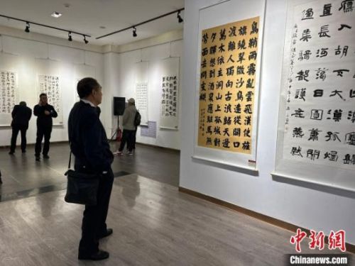 图为展览吸引书法爱好者观赏。杨娜 摄