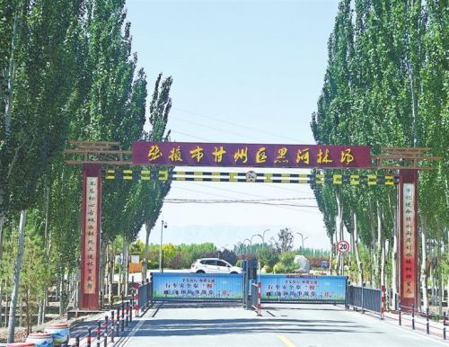 张掖市甘州区黑河林场。新甘肃·甘肃日报记者 徐俊勇