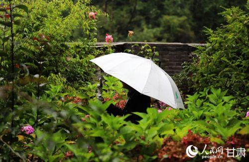 王超通过直播向网友介绍民宿环境。人民网记者 邵兰摄