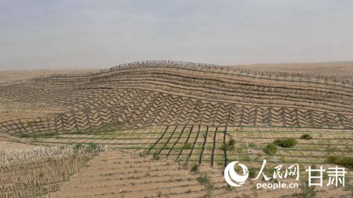 沙丘上布满各类沙障。人民网记者 王绍绍摄