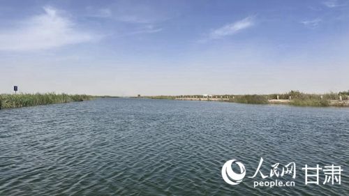 青土湖水域广阔。人民网记者 王绍绍摄