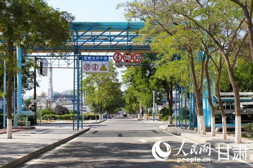 兰州石化厂区里，绿意沿道路延伸。人民网记者 米媛摄