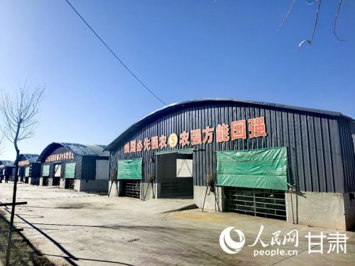 陇西县通安驿镇肉牛产业种养循环科创基地。人民网记者 高翔摄