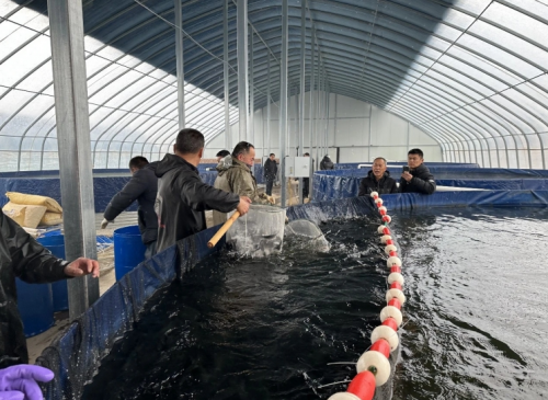 虹鳟鱼养殖场。榆中县委宣传部供图